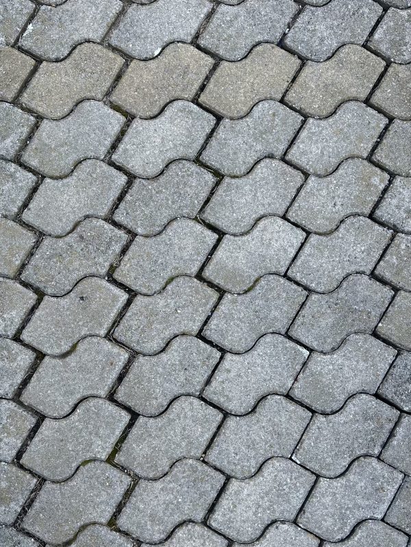detailní fotografie